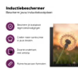 Paardenbloem - Zonsondergang - Veld Inductie beschermer vinyl 3mm klein -zzzzzzz-cc-usp