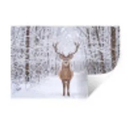 Hert - Winter - Bos - Natuur - Wit Muursticker klein -3d