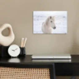 Paard - Kop - Winter - Dieren - Wit poster papier klein -sfeer1