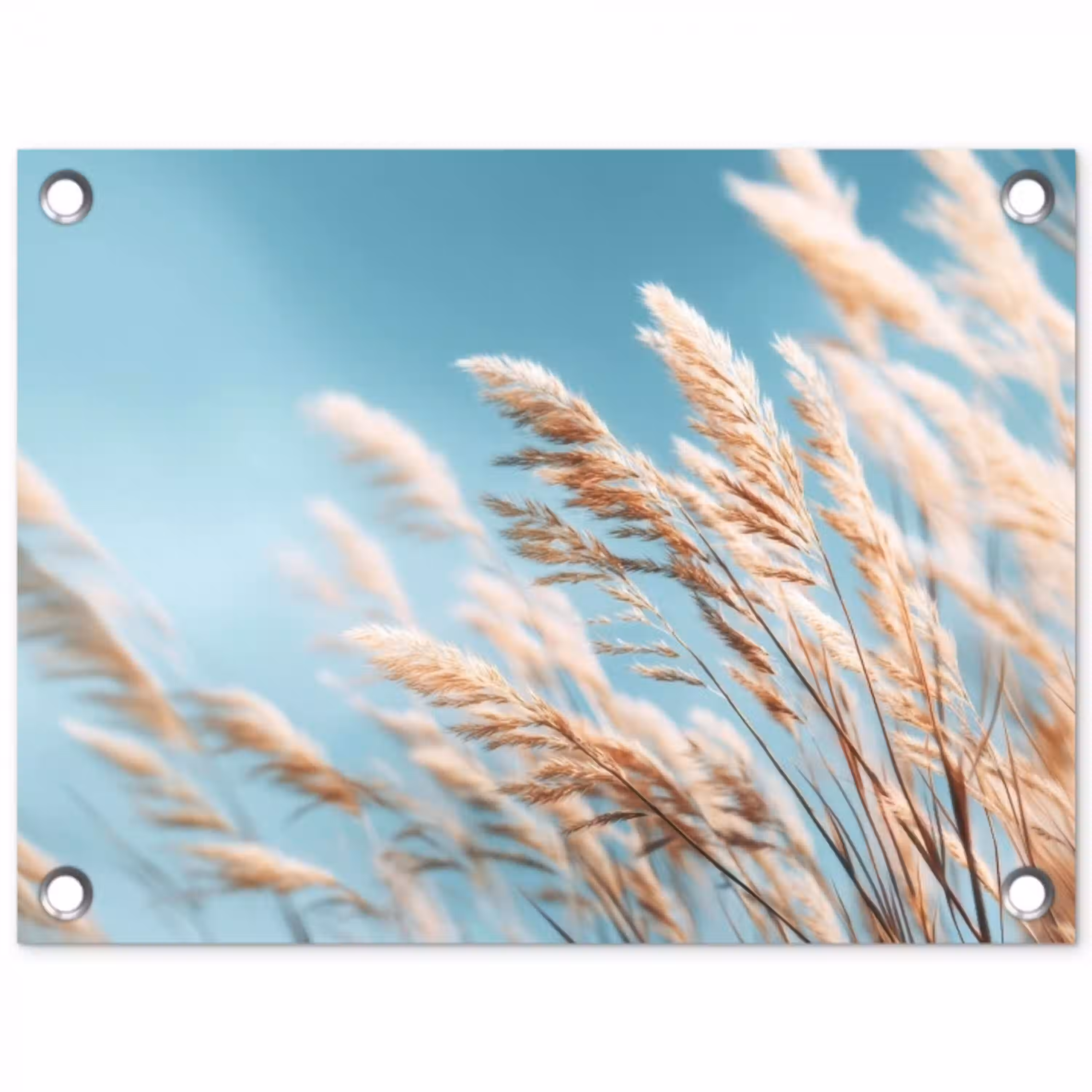Siergras - Wind - Lichtbruin tuinposter los doek klein -3d
