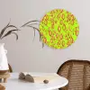 Slang - Neon - Groen - Roze Wandcirkel plexiglas klein 852 -sfeer4