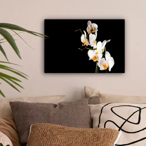 Orchidee - Bloemen - Planten - Botanisch canvas 2cm klein -sfeer1