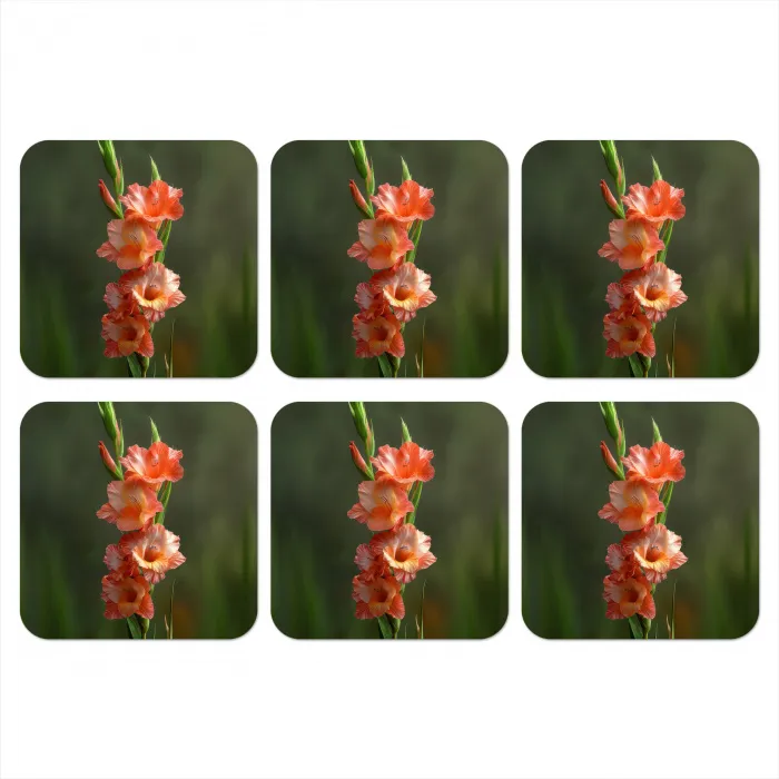 Bloem - Gladiolen - Zalmroze onderzetter kurk middel -3d