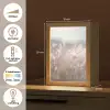 Graspluimen - Wind - Beige - Mistig Light Box met kabel (Tafellamp) klein -USP_NL