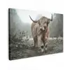 Schotse Hooglander - Bos - Mist - Koe - Dieren - Natuur canvas 2cm klein -z3d