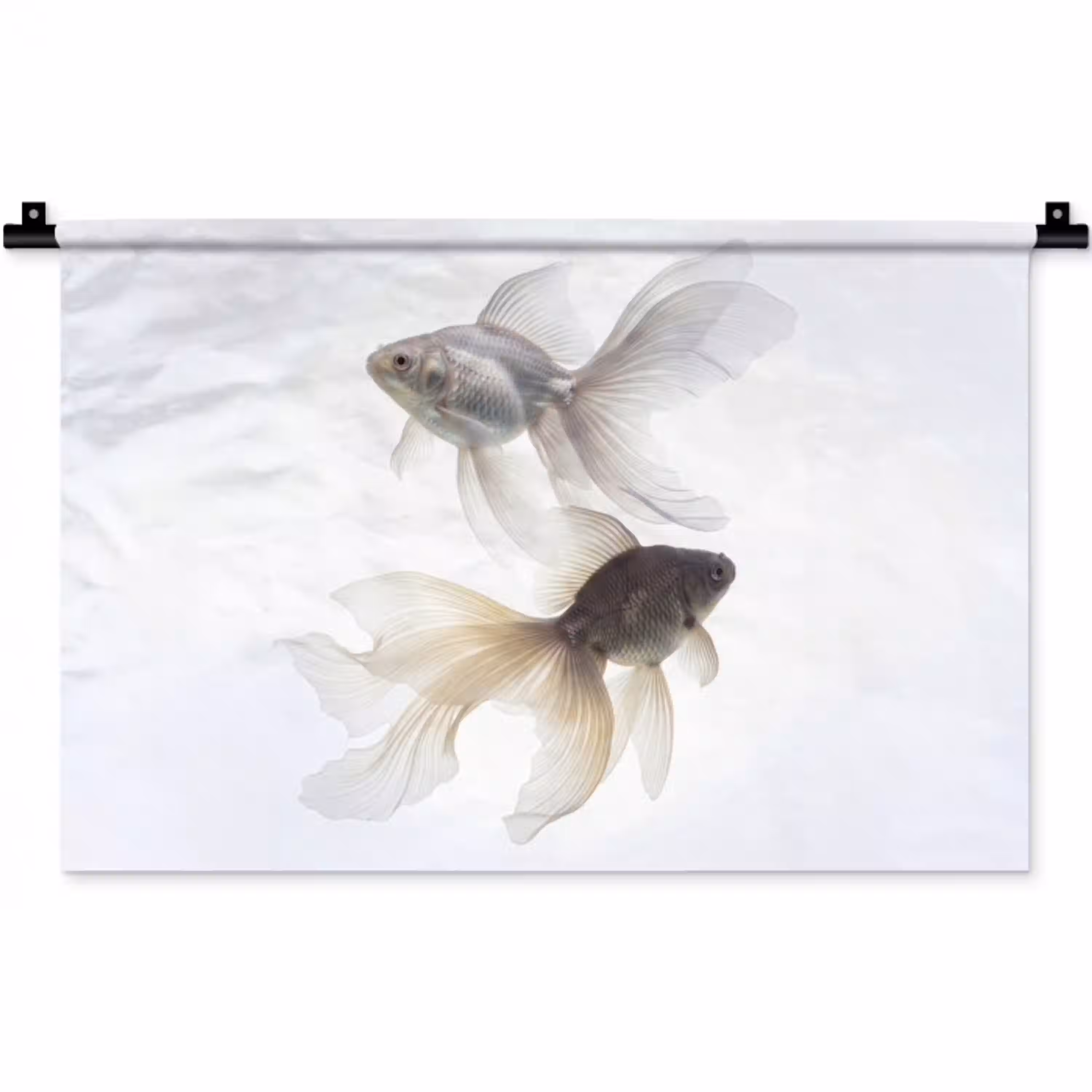 Goudvissen - Modern - Wit Wandkleed katoen klein -zz3d