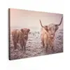 Schotse hooglanders - Licht - Lucht - Natuur Tuinposter op houten frame 2 cm dik klein -3d