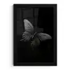 Vlinder - Zwart - Insect - Dieren fotolijst zwart zonder passe partout klein -3d