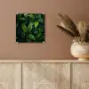 Bladeren - Regendruppels - Licht - Groen plexiglas 5mm klein -sfeer5