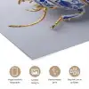 Kever - Delfts  - Blauw - Goud poster papier klein -closeup_NL