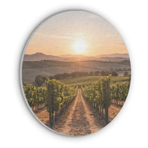 Wijngaard - Zonsondergang - Landschap Akoestische PET Vilt - Rond klein -3d