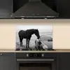 Paard - Auto - Zwart - Wit keuken achterwand spatscherm klein -sfeer1