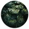 Plant - Monstera - Lichtinval Wandcirkel kunststof plaat 5mm dik klein -3d