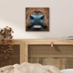 Schotse hooglander - Neus - Bruin aluminium wit klein -sfeer3