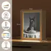 Paard - Bord - Pasta - Tafelkleed - Zwart Wit - Dieren Light Box met kabel (Tafellamp) klein -USP_NL