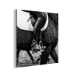 Paard - Sport - Zwart - Wit aluminium wit klein -3d