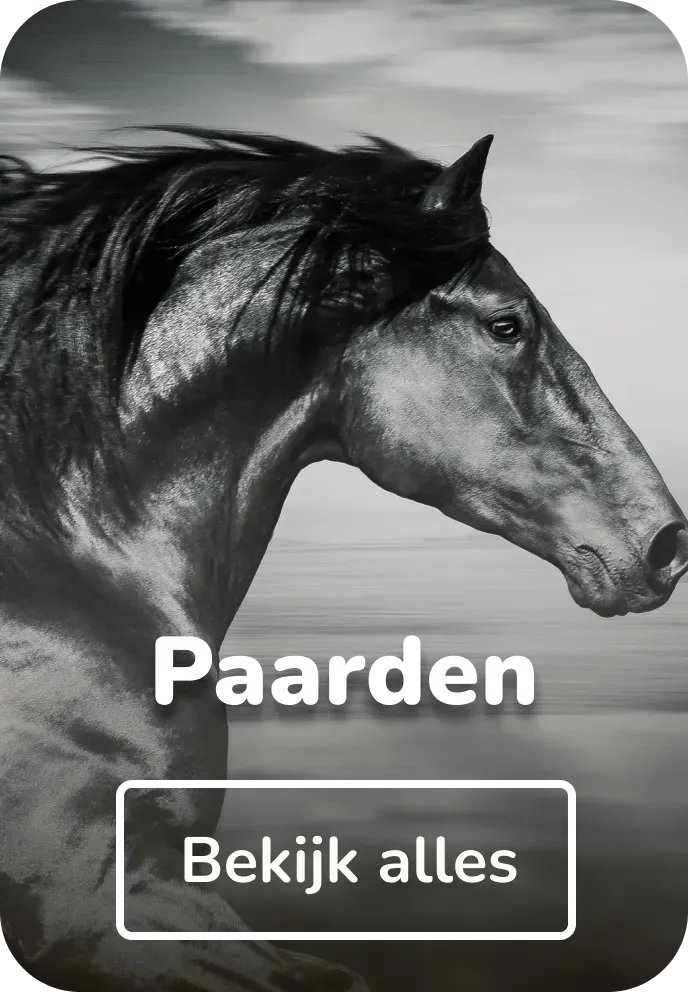 Canvas schilderijen paarden