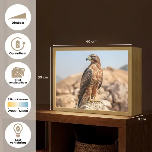 Valk - Vogel - Rots - Macht Light Box met batterij (Wandlamp) middel -USP_websiteoverzichtNL