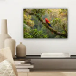 Ara - Jungle - Rood canvas 2cm klein -sfeer6
