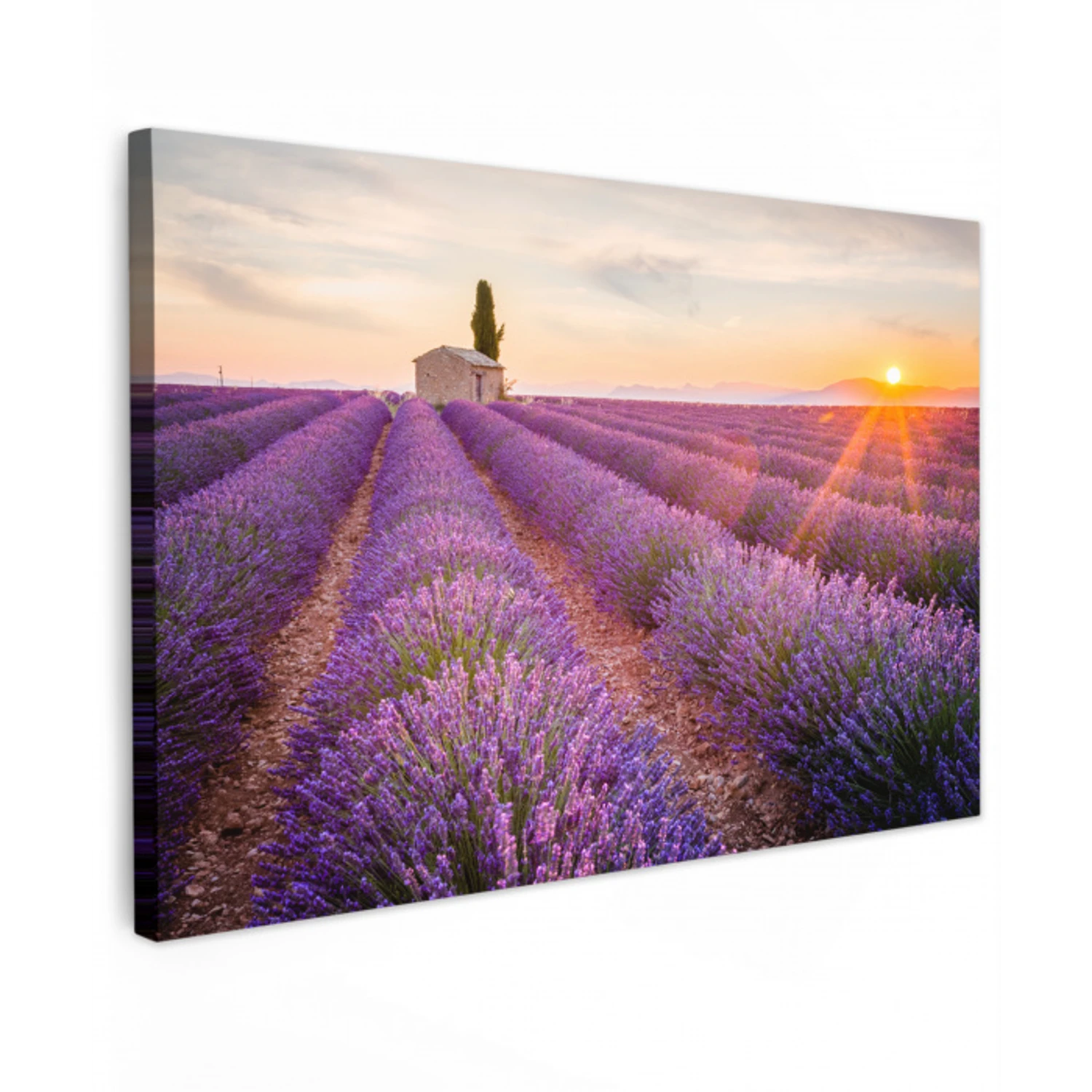 Lavendel - Zonsondergang - Bloemen - Paars canvas 2cm klein -z3d