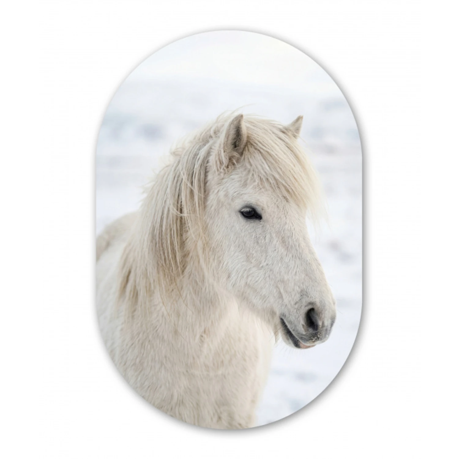 Paard - Kop - Winter - Dieren - Wit Wandcirkel Ovaal Aluminium middel -3d