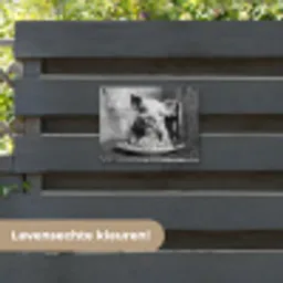 Varken - Schattig - Spaghetti - Zwart wit - Dier tuinposter los doek klein -sfeer3