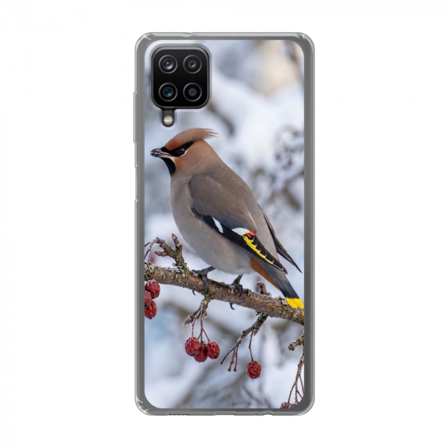 Pestvogel - Bessen - Winter - Natuur Telefoonhoesje Samsung Galaxy A12 klein -3d