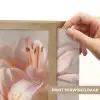Lelies - Meeldraden - Roze - Wazig Light Box met batterij (Wandlamp) middel -USP_websiteprintNL