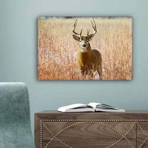 Hert - Gras - Herfst - Dieren - Natuur - Gewei canvas 2cm klein -sfeer4