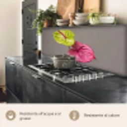 Planten - Anthurium - Groen - Roze keuken achterwand 2 middel -usp_IT