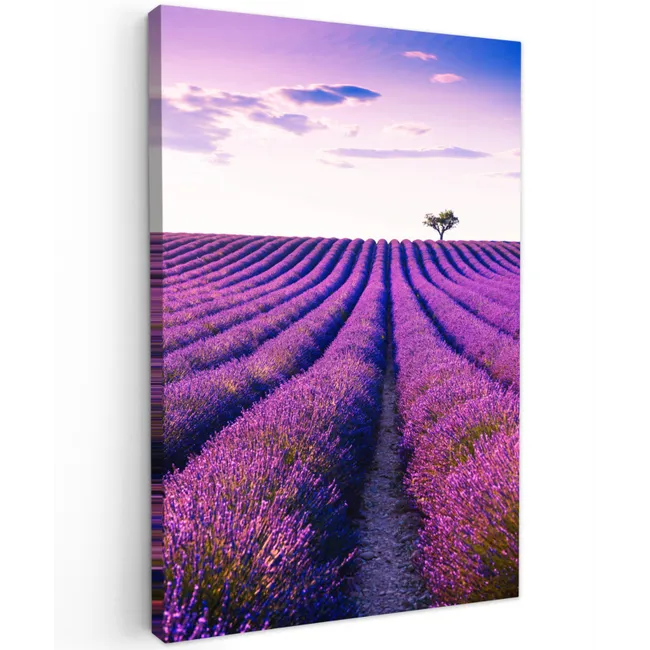 Lavendel - Bomen - Paars - Bloemen canvas 2cm klein -z3d