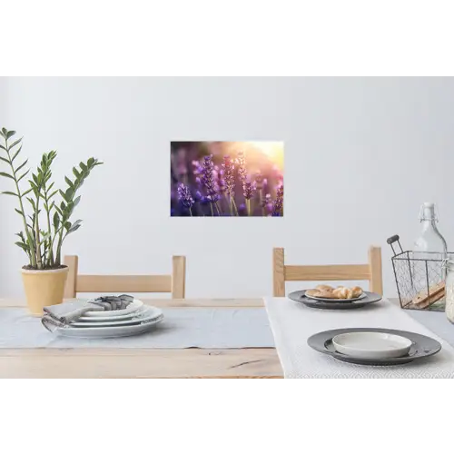Lavendelbloemen - Paars - Zonlicht Muursticker klein -eettafel