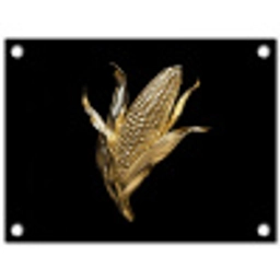 Mais - Eten - Goud - Zwart tuinposter los doek klein -3d