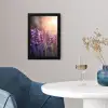 Lavendelbloemen - Paars - Zonlicht fotolijst zwart zonder passe partout klein -sfeer4