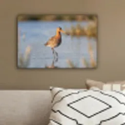 Vogel - Steltloper - Water - Natuur canvas 2cm klein -sfeer3