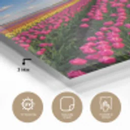 Tulpen - Holland - Molen - Kleurrijk plexiglas 5mm klein -sfeer2