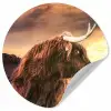 Schotse hooglander - Zon - Horizon - Koe - Dieren Wandcirkel behangsticker klein -3d