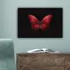 Vlinder - Rood - Minimalistisch canvas 2cm klein -sfeer4