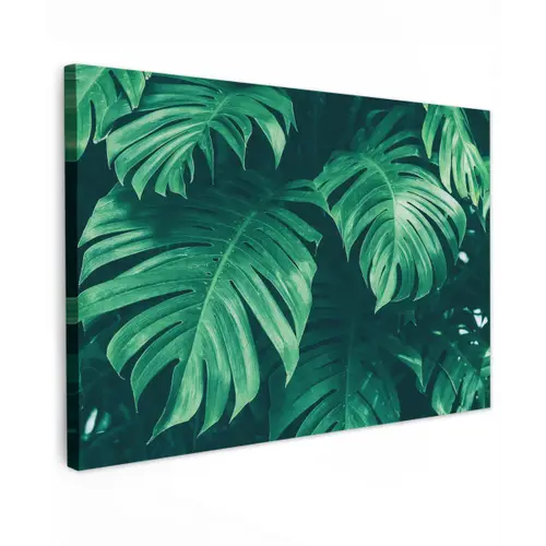 Monstera - Bladeren - Planten - Jungle - Natuur Tuinposter op houten frame 2 cm dik klein -3d