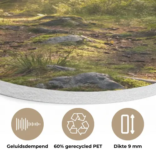 Bos - Zonlicht - Gras Akoestische PET Vilt - Rond klein -closeup_NL