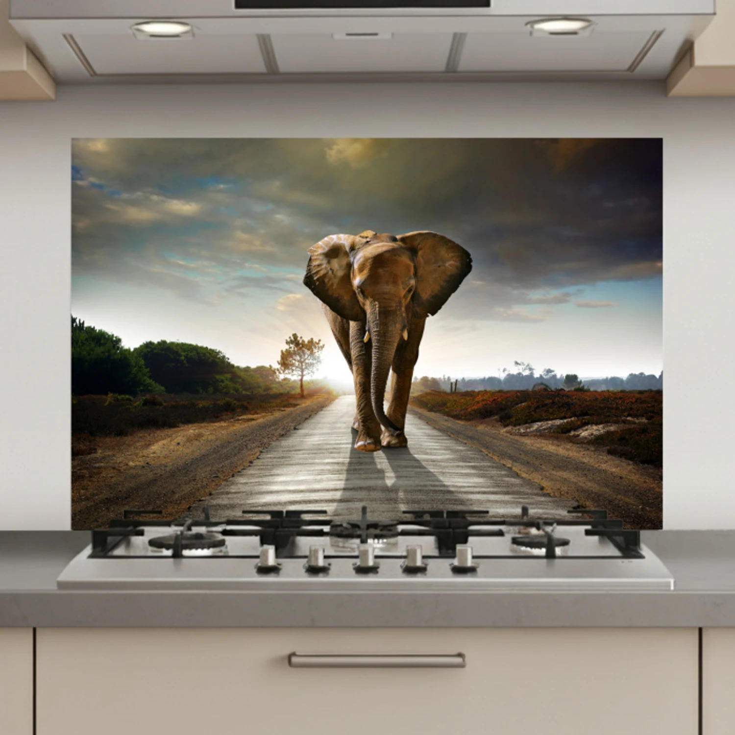 Olifant - Weg - Dieren - Zonsondergang - Landschap keuken achterwand spatscherm klein -3d_website