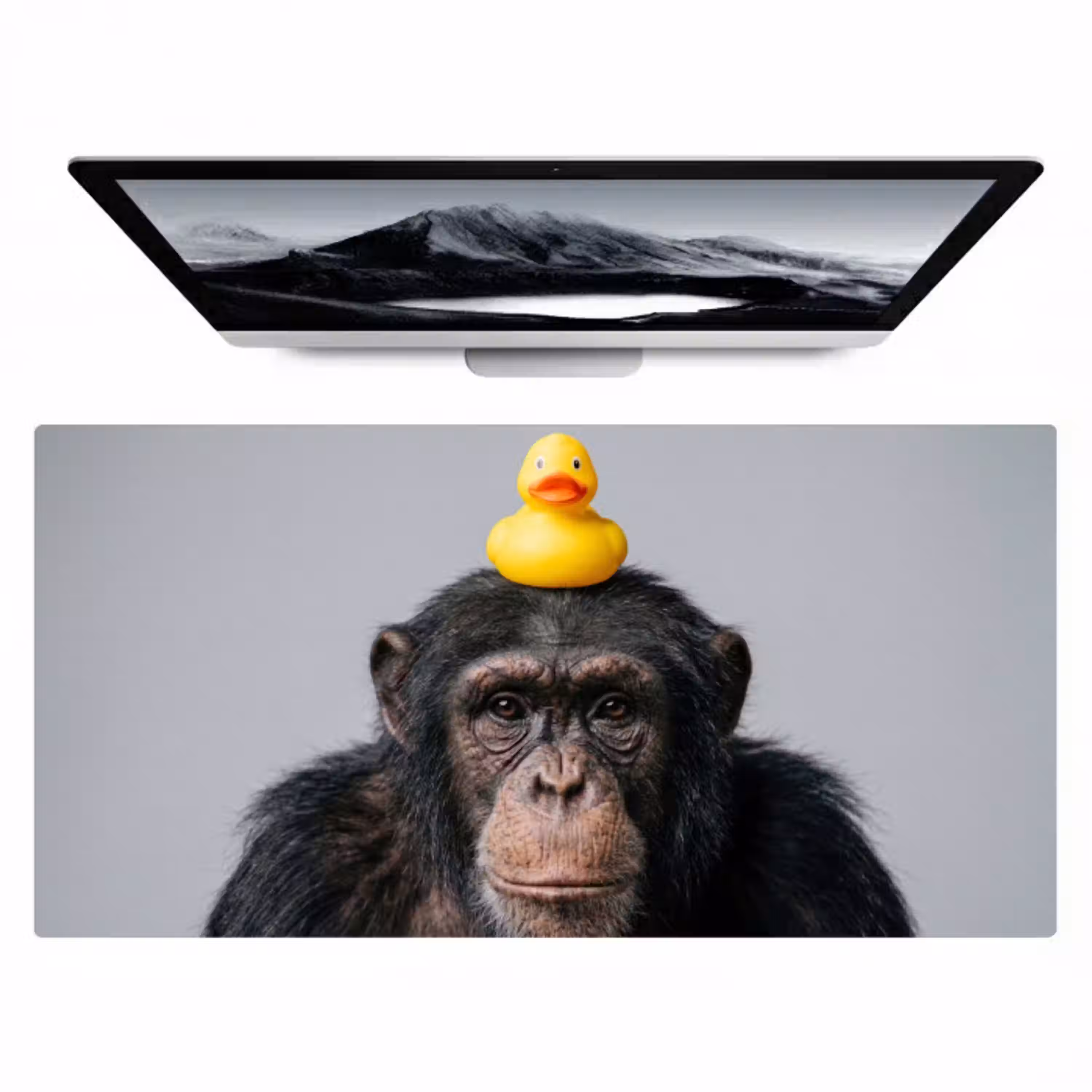Chimpansee - Badeend - Grijs Muismat XXL klein -zzz3d