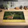 Hert - Gewei - Gras - Natuur - Dieren - Groen Inductie beschermer vinyl 3mm klein -sfeer5