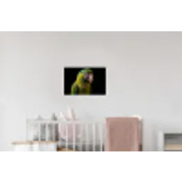 Ara - Portret - Groen Muursticker klein -kinderkamer