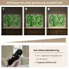 Kiwi - Groen - Pitten Light Box met batterij (Wandlamp) middel -USP_dimbaarNL