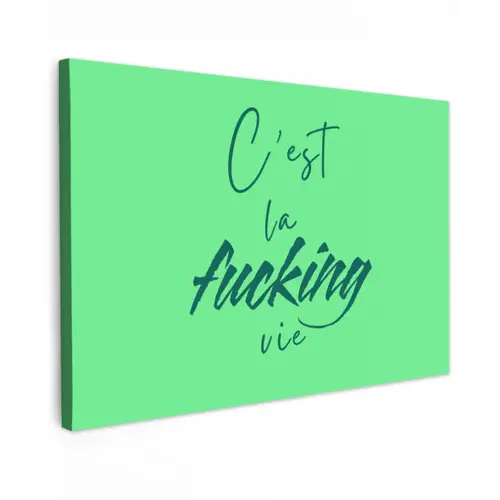 c'est la fucking vie - Groen - Penseelstijl canvas 2cm klein -z3d