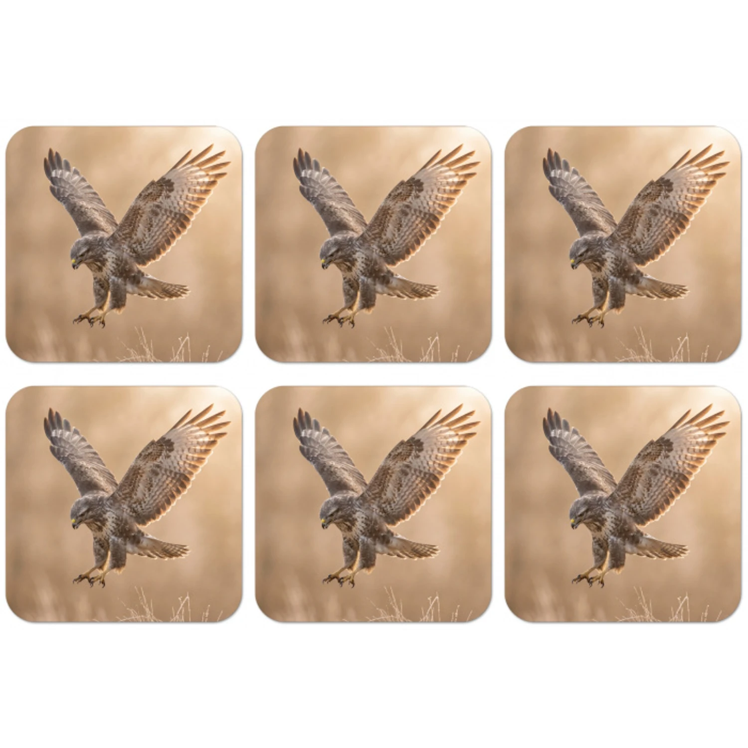 Buizerd - Roofvogel - Natuur - Bruin onderzetter kurk middel -zkaufland3dotto