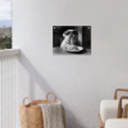 Hond - Bulldog - Pasta - Bril - Stoer - Dieren tuinposter los doek klein -sfeer8