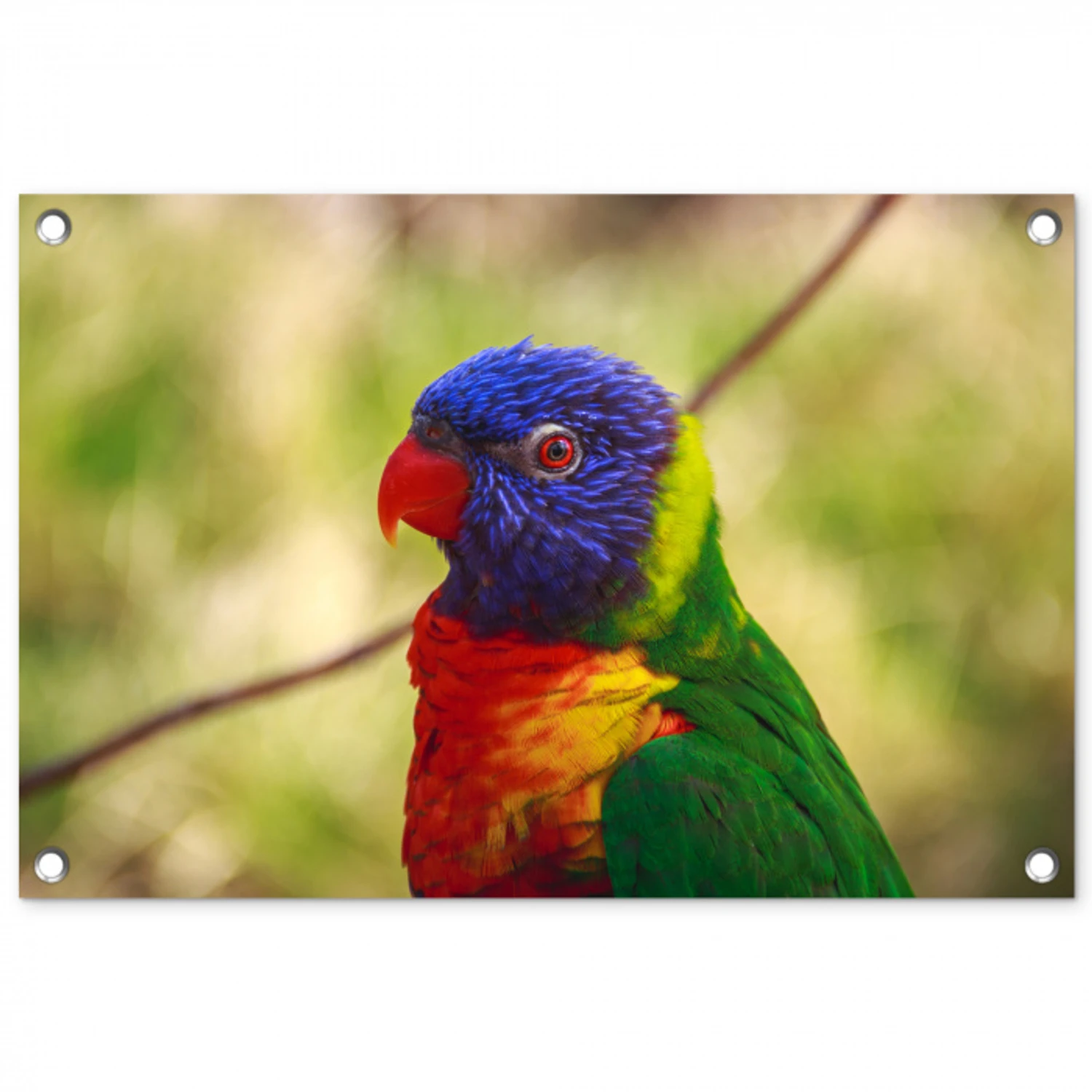 Vogel - Parkiet - Blauw tuinposter los doek klein -3d