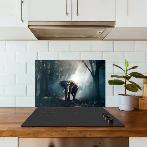 Olifant - Dieren - Licht - Bos - Natuur - Wilde dieren keuken achterwand spatscherm klein -sfeer2
